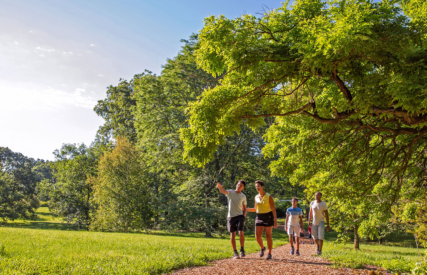 A family of four walks along a wood-chipped path at The Morton Arboretum on a sunny summer day.