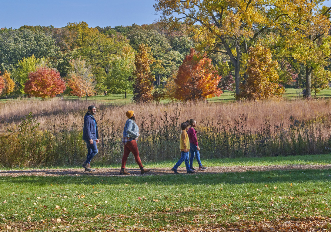 The Morton Arboretum