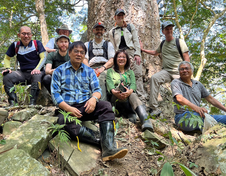 The Morton Arboretum