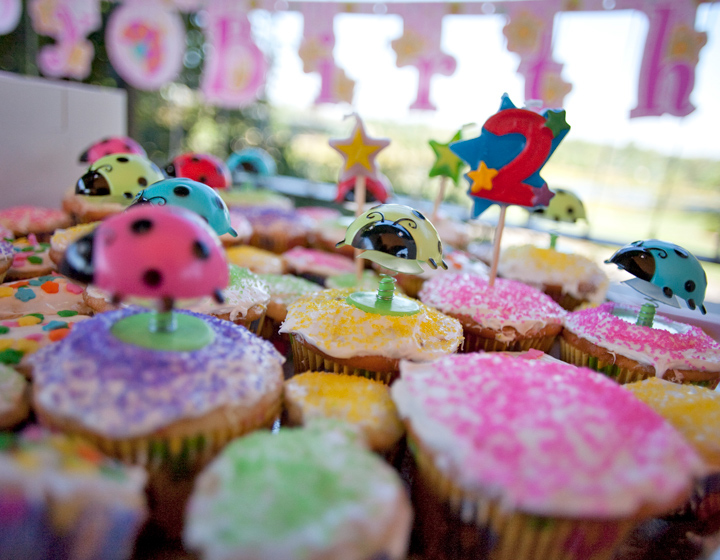 The Morton Arboretum