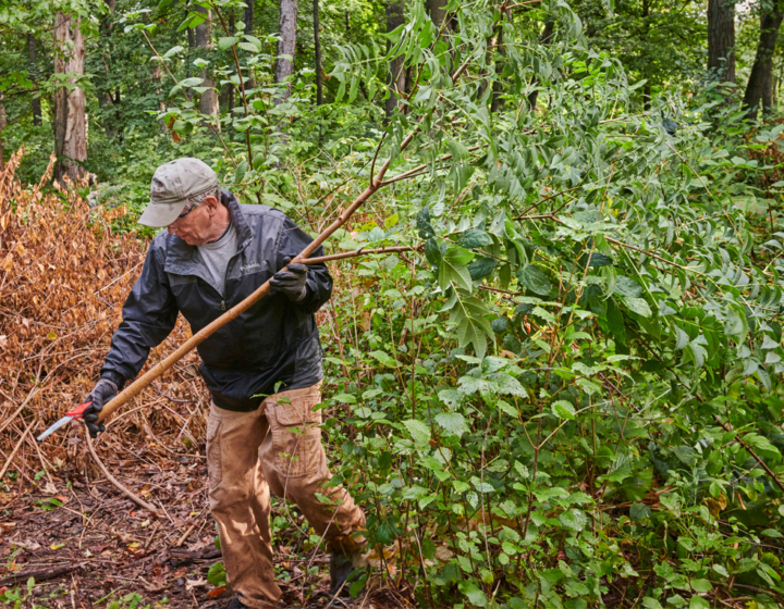 The Morton Arboretum