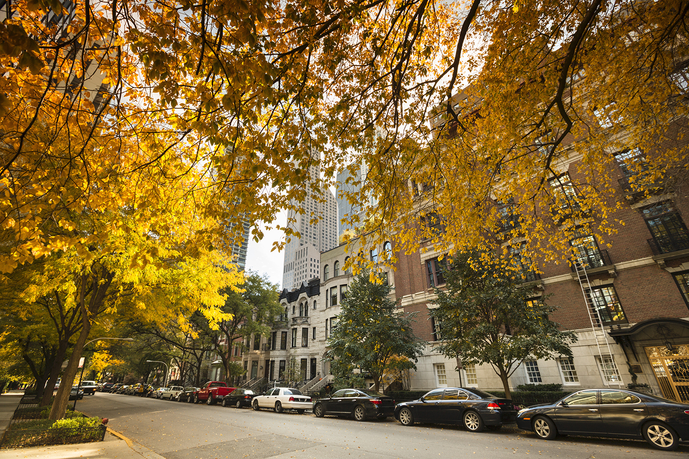 Historic homes in Chicago with yellow trees in Fall
