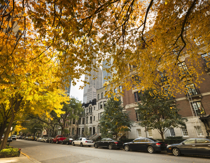 Historic homes in Chicago with yellow trees in Fall