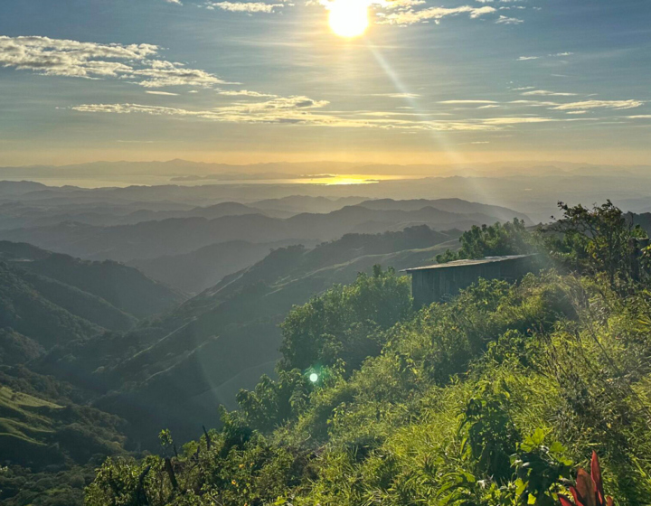 The Morton Arboretum