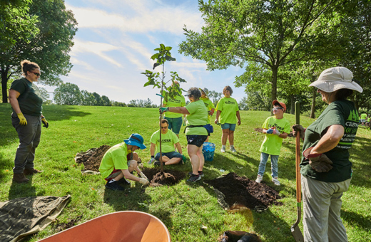 SEASPAR and CRTI plant trees in a park in Downers Grove