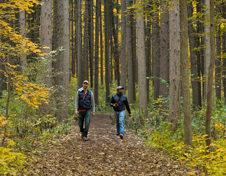 The Morton Arboretum