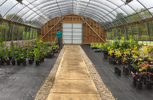 The Morton Arboretum