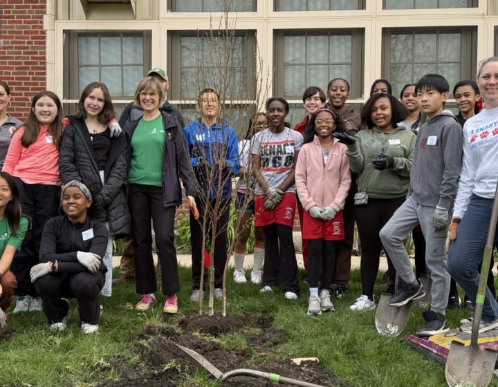 The Morton Arboretum