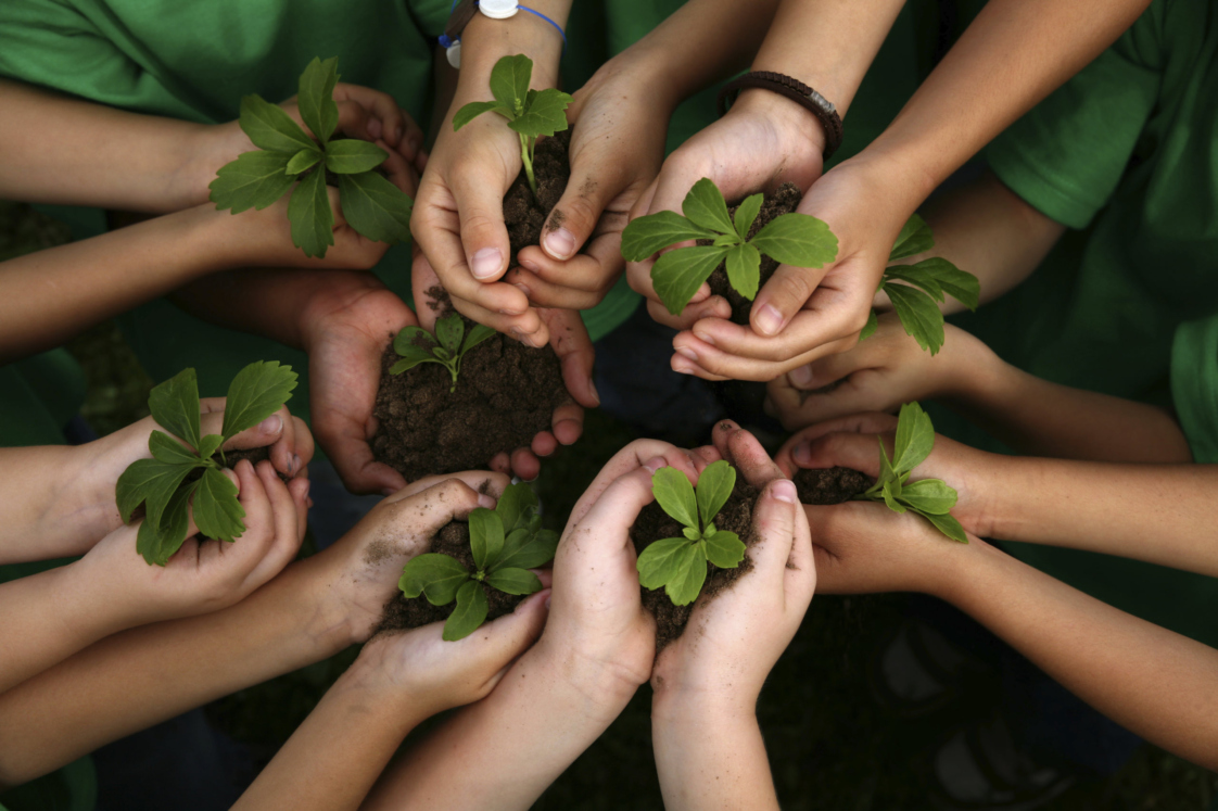 How to Access The Morton Arboretum Virtual Bundles for Educators