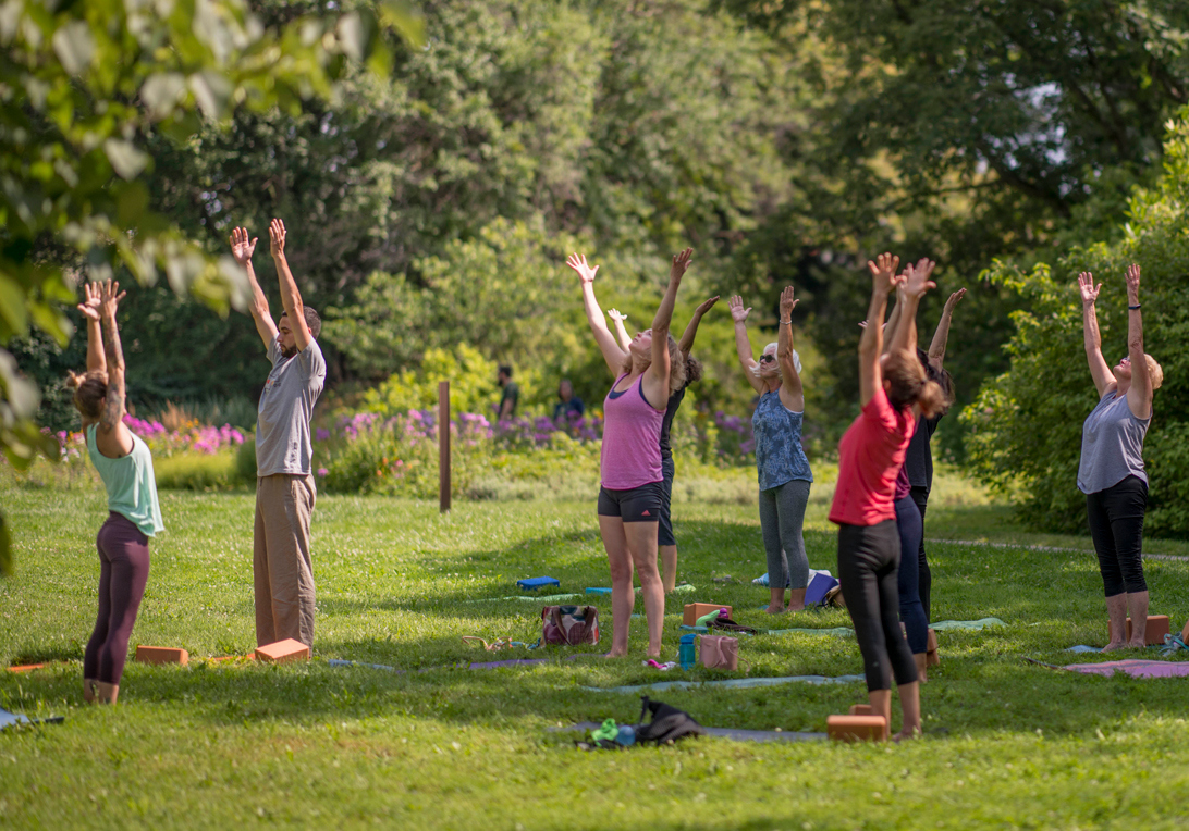 A group enjoys yoga on the grass surrounded by trees