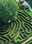 Maze Garden