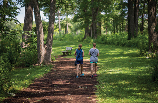 Members walking on a path among trees in Summer