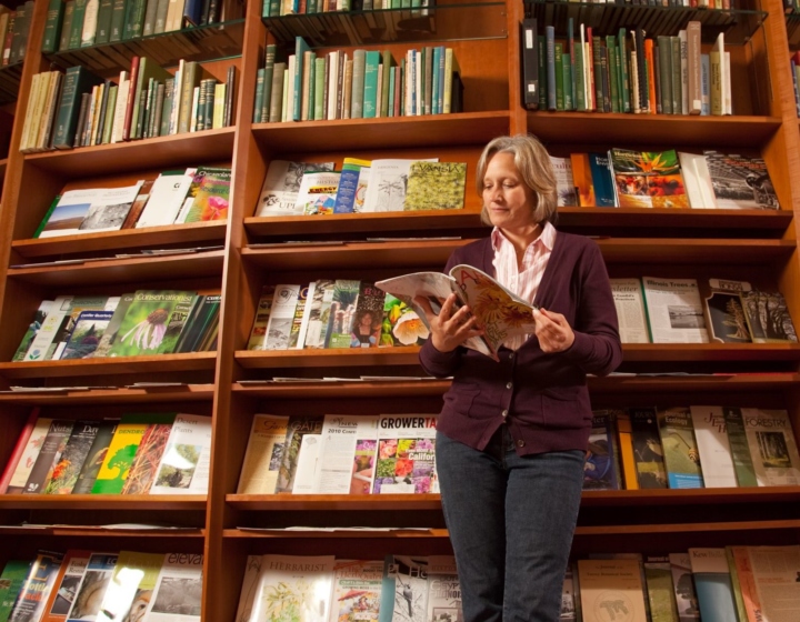 A woman reading a horticultural magazine, leaning against the shelves of the Sterling Morton Library.