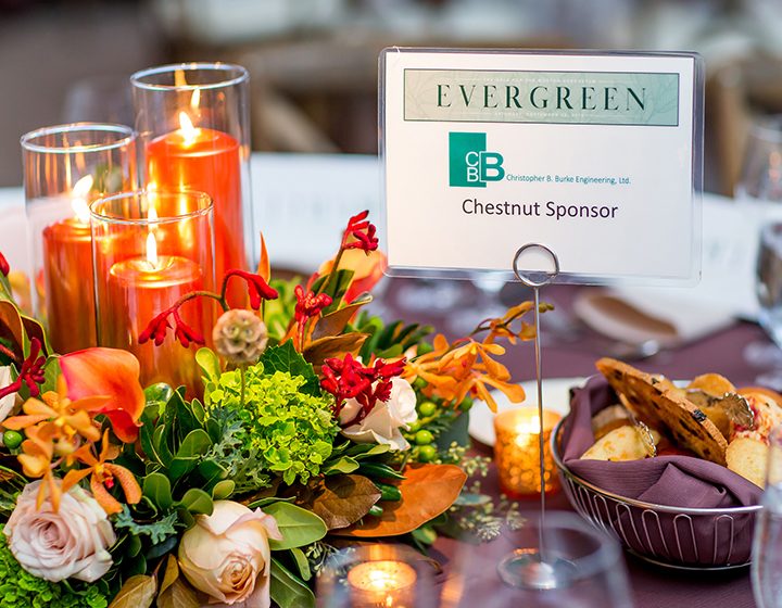 Evergreen Gala fundraising event