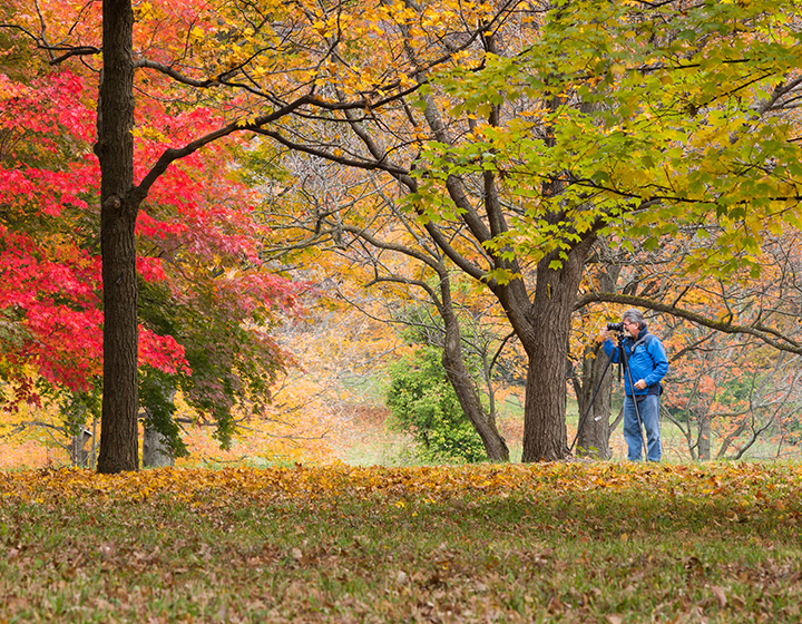 Photographer outside taking photos of fall beauty
