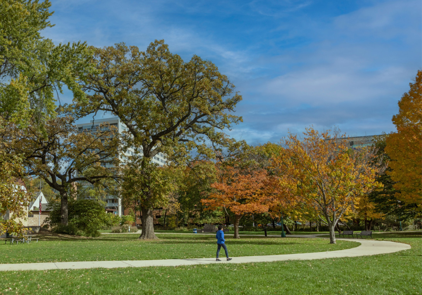 The Morton Arboretum