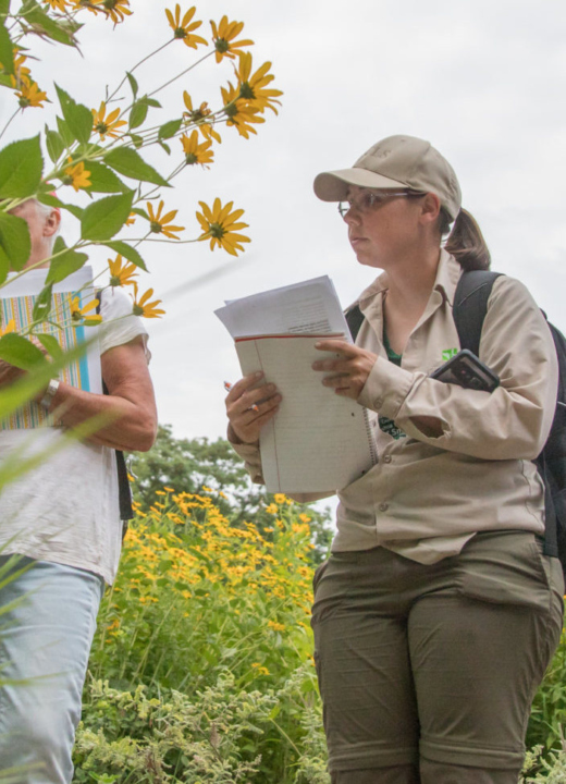 Students observe a variety of plants in the Schulenburg Prairie.