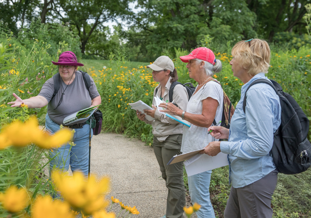 An nature education class looks closely at the prairie plants as they bloom in summer to help identify them.