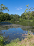 Sterling Pond in summer