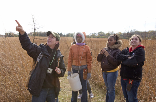 The Morton Arboretum