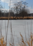 Sunfish Pond iced over in winter