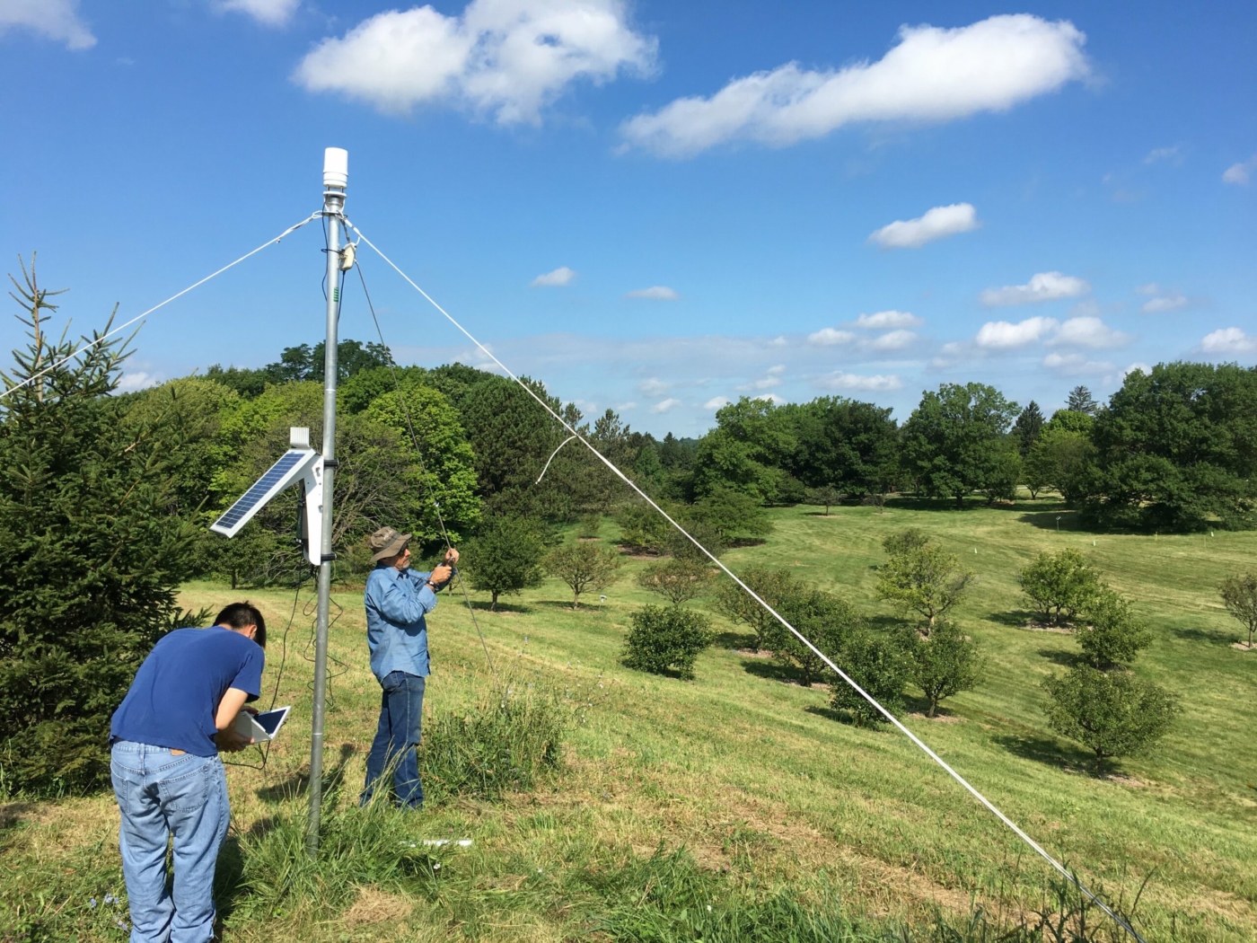 Staff installing signal hub for the tree observatory