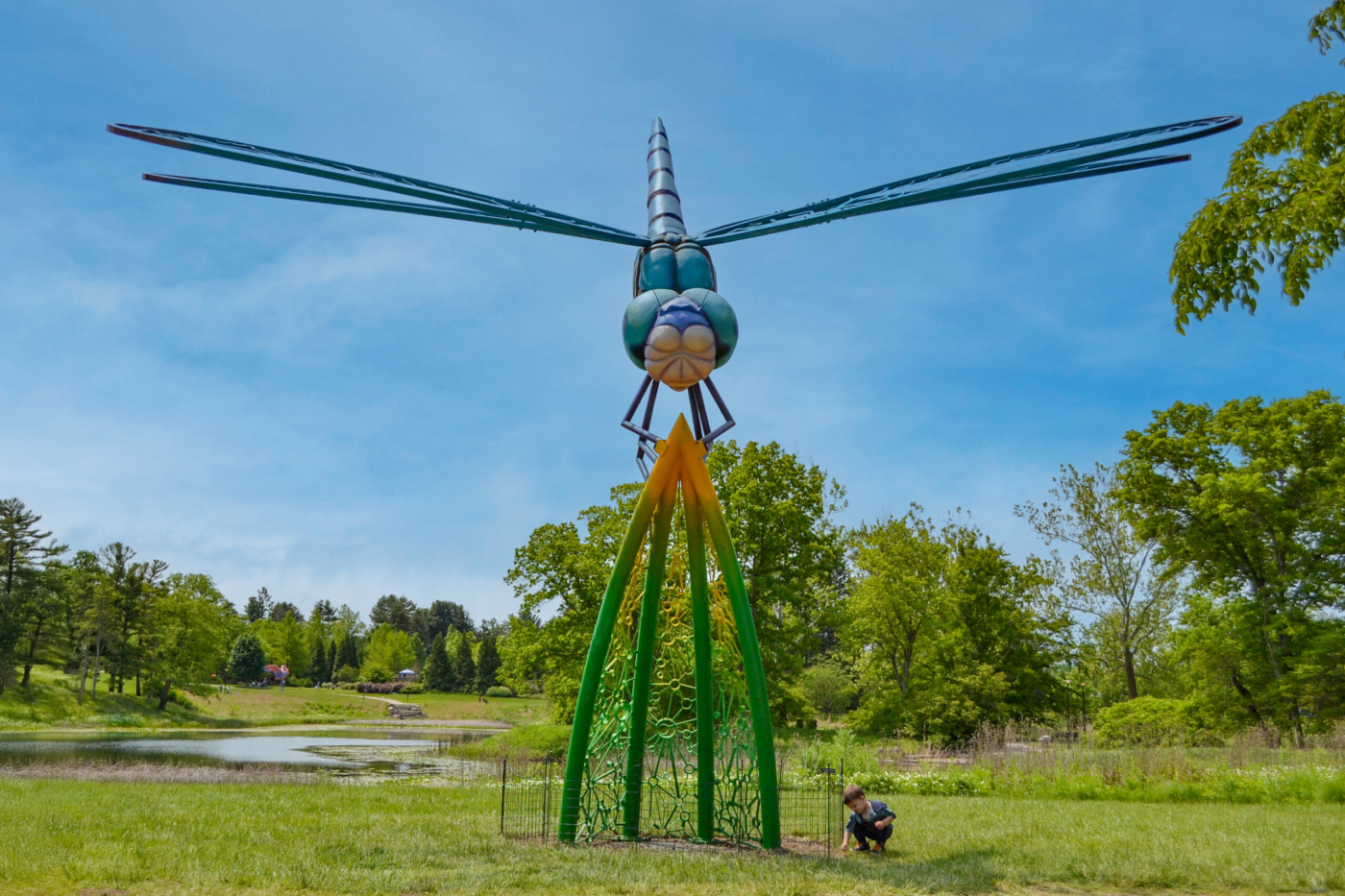 A child squats in the grass next to Nimbly the dragonfly, a sculpture included in the Vivid Creatures exhibition
