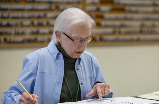 Volunteer in the herbarium documenting specimens