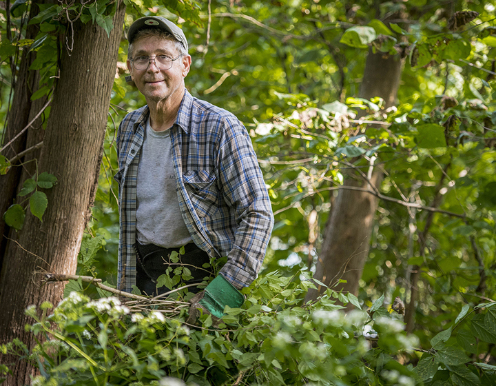 Volunteer doing restoration in the woods