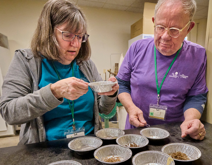 Volunteers work together to sift through soil samples.