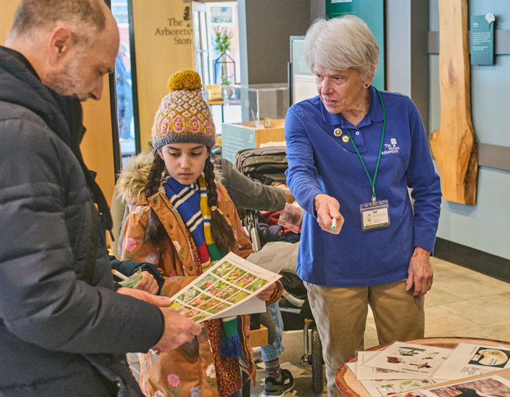 The Morton Arboretum
