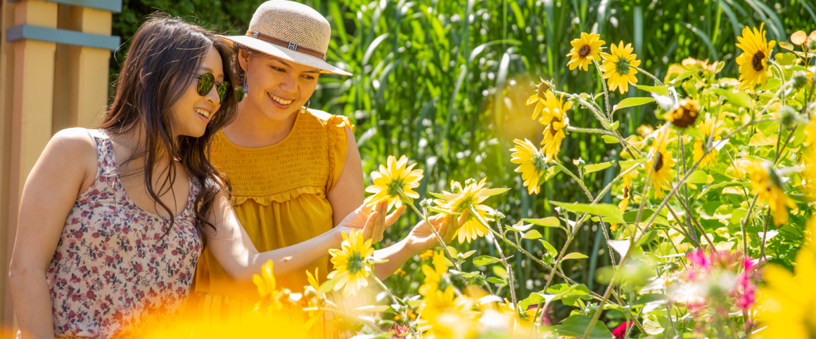 Woman looking at flowers