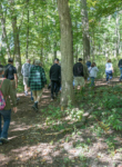 People walking the woodland trail
